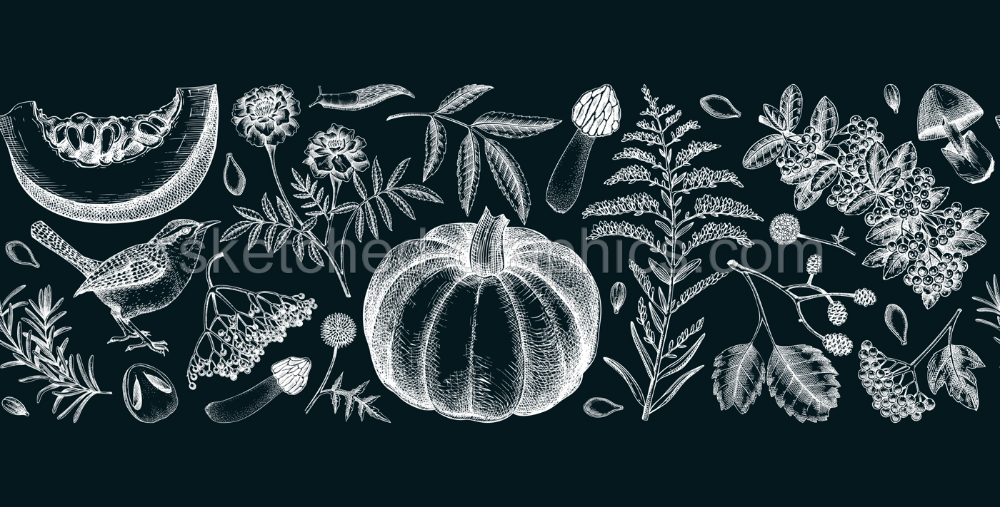 Warm autumn ribbon in sketch style. Fall leaves, pumpkins, berries, mushrooms  hand-drawn vector illustrations on chalkboard. Thanksgiving seamless pattern. NOT AI generated Illustration